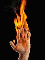 واردکننده پرتقال قصد آتش زدن رئیس گمرک را داشت!+جزئیات حادثه